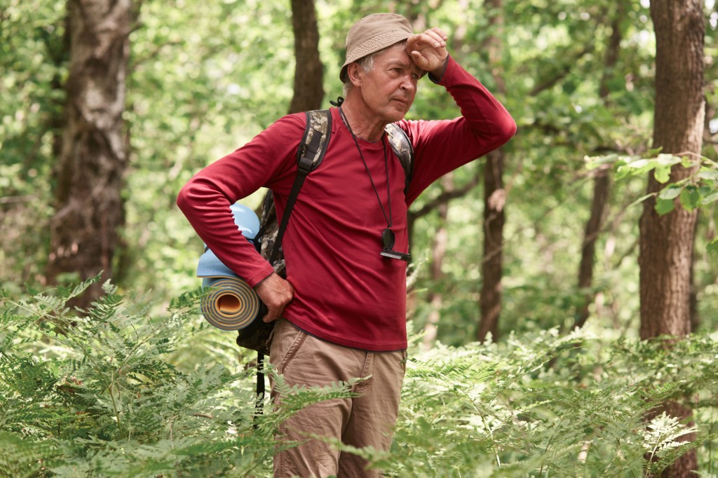 Welcome To The Jungle